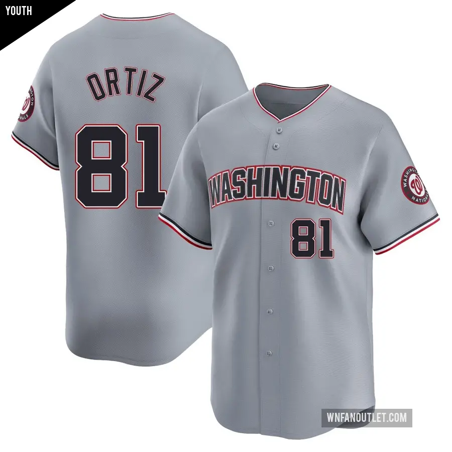 Youth Washington Nationals ＃81 Abimelec Ortiz Limited Gray Road Jersey